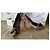 Chloé Wildleder Pumps Taupe Größe 36 IT - Ansicht 7
