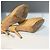 JIMMY CHOO Absätze T.EU 36.5 Lackleder Beige - Ansicht 4