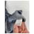Courreges Courrèges Blaue Baumwollstrickwaren & Sweatshirt - Ansicht 4