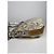 Borsa in pelle argentata Sufflette Signature di Coach Argento - vista 4