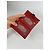 Cartera de cuero rojo Loewe Roja - vista 4
