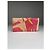 Emilio Pucci Multicolour Patent Leather Wallet Multiple colors - view 2