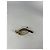 Christian Dior Gafas de sol Dior Homme Gold Metal Dorado - vista 4