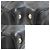 Borsa tote con borchie Miu Miu Nero - vista 10