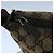 Borsa a Spalla GG Canvas GUCCI Beige Argento 145857 Auth bs21051 - vista 15
