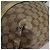 Borsa a spalla GG Crystal Gucci Beige 197953 Auth 112921 - vista 12