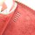 Borsa Louis Vuitton Epi Pochette Accessoires24 Rosso - vista 12