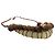 Autre Marque Collana etnica tribale con dischi in legno marrone e pelle crema a forma di V - vista 2