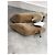 Botas de tobillo YEEZY T.EU 36 Ante Beige - vista 5