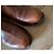 JM Weston Botas Jodhpur de cuero box marrón J.M. Weston Talla 5D Castaño - vista 18