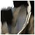 FENDI Zucca Canvas Rucksack braun schwarz gold Auth 111351 Golden - Ansicht 24