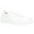 Scarpe plimsoll da skate Alexander McQueen Deck Bianco