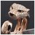 Cartier 750PG Panthère Masai Ring Größe 55 Golden - Ansicht 10