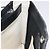 Bolsa de Ombro BALENCIAGA em Lona e Couro Branco e Preto 339937 Auth bs21563 - vista 18