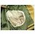 GIACCA ARNYS MARCEL 54 IT 50 M FR IN CASHMERE GIALLO - vista 7