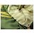 GIACCA ARNYS MARCEL 54 IT 50 M FR IN CASHMERE GIALLO - vista 8