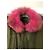 Parka de algodón Mr & Mrs Italy verde con borde de piel de mapache rosa - vista 3