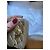 Chanel Mini Tasche Leder Gold Golden - Ansicht 12
