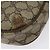 GUCCI GG Supreme Web Sherry Line Bolsa de Ombro PVC Bege 89 02 066 Auth EC117 - vista 11