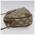 GUCCI GG Supreme Web Sherry Line Bolsa de Ombro PVC Bege 89 02 066 Auth EC117 - vista 5