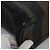 Pequin FENDI Pecan Canvas Tote Bag Braun Schwarz Auth BD578 - Ansicht 12