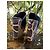 Stella Mc Cartney Mule con platform Stella McCartney blu nubuck - vista 5