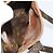 LOUIS VUITTON Monogram Danube Schultertasche M45266 LV Auth ep7420 Monogramm - Ansicht 12