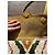Borsa a mano Claris Virot AVA in pelle Multicolore - vista 5