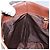 Borsa a mano in PVC beige marrone a quadri Nova di BURBERRY oro Auth BD438 D'oro - vista 19