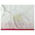 Hermès HERMES STRANDTUCH CITRONS 150X90CM AUS ROSA BAUMWOLLE ZITRONEN STRANDTUCH Pink  - Ansicht 9