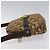 Bolso de hombro de lona Trotter Christian Dior marrón Auth BD120 Castaño - vista 4
