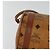 Borsa a Spalla MCM Vicetos Logogram in Pelle PVC Marrone Auth IN019 - vista 10