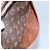 LOUIS VUITTON Clutch Compiegne 28 M51845 LV Auth bs23284 Monogramma - vista 11
