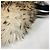 Borsa Sac Plat Mouton 2WAY della Collezione Animale Louis Vuitton M50818 Nero Beige - vista 6