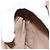 Gucci Borsa a Spalla Micro GG Supreme PVC Beige Oro 001 14 5364 Auth ep7769 D'oro - vista 22