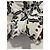 ISABEL MARANT Shorts T.International S Algodón Blanco - vista 9