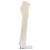 BARRIE Hose T.International S Kaschmir - Ansicht 3