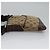 Borsa a Spalla in Tela GG GUCCI Beige Marrone oro 147671 Auth nb252 D'oro - vista 4