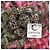 Chanel Neue 2022 Werbekampagne Rosa Tweed-Jacke Pink - Ansicht 6