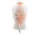 Autre Marque LEE WEI Tops T.International XS Polyester Orange - Ansicht 2