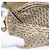 Borsa a spalla SAINT LAURENT in PVC embossé grigio Auth BA782 Marrone - vista 19