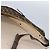 FENDI Zucca Capa de Tecido para Roupas Marrom Auth fm4432 - vista 32