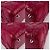 Christian Dior Borsa a Spalla Lady Dior Grande in Pelle di Agnello Cannage Rossa Rosso - vista 5