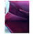 Pochette Yves Saint Laurent Violet foncé  - vue 12