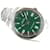 ROLEX Oyster PERPETUAL 41 green 124300 '24 purchased Mens Silvery Steel  ref.2128029