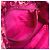 Borsa tote Noefull MM Ikat Flower di Louis Vuitton Rosa - vista 17