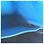 Borsa Dayton PM Damier Graphite Louis Vuitton Nero Blu - vista 15