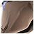 BURBERRY Tote Bag Canvas Beige Auth ti2950 - view 19