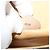Céline CELINE Macadam Canvas Umhängetasche, PVC-Leder, braun, gold, authentisch, EC933 Golden - Ansicht 12