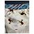 Autre Marque Maiden Lane Leinenjacke Sand - Ansicht 9